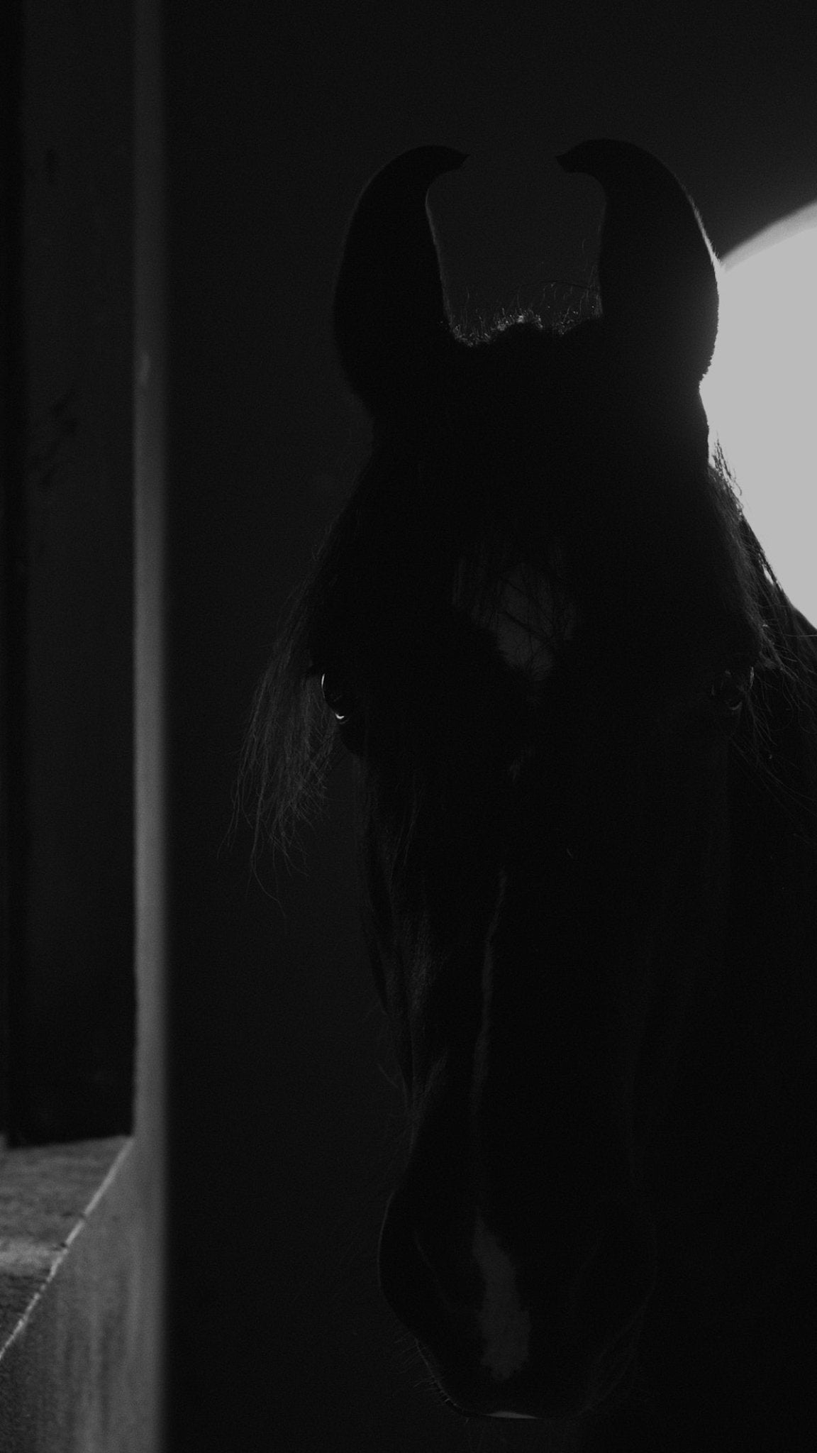 Întrebări Frecvente despre Îngrijirea Încălțămintei din Materiale Textile - amely.ro