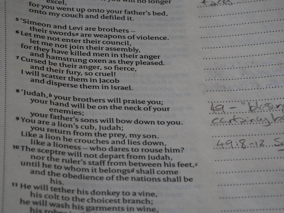 Close-up of a page of text with handwritten notes.