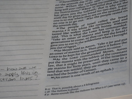 Close-up of text on a page with handwritten notes.