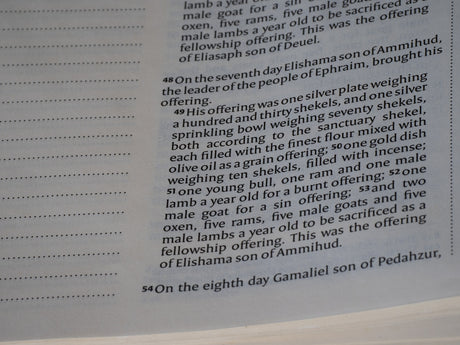 Printed text on a white page from a book.